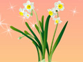 為什么水仙花只喝清水就能開(kāi)花